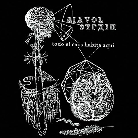 Diavol Strâin "Todo el Caos Habita Aqui"