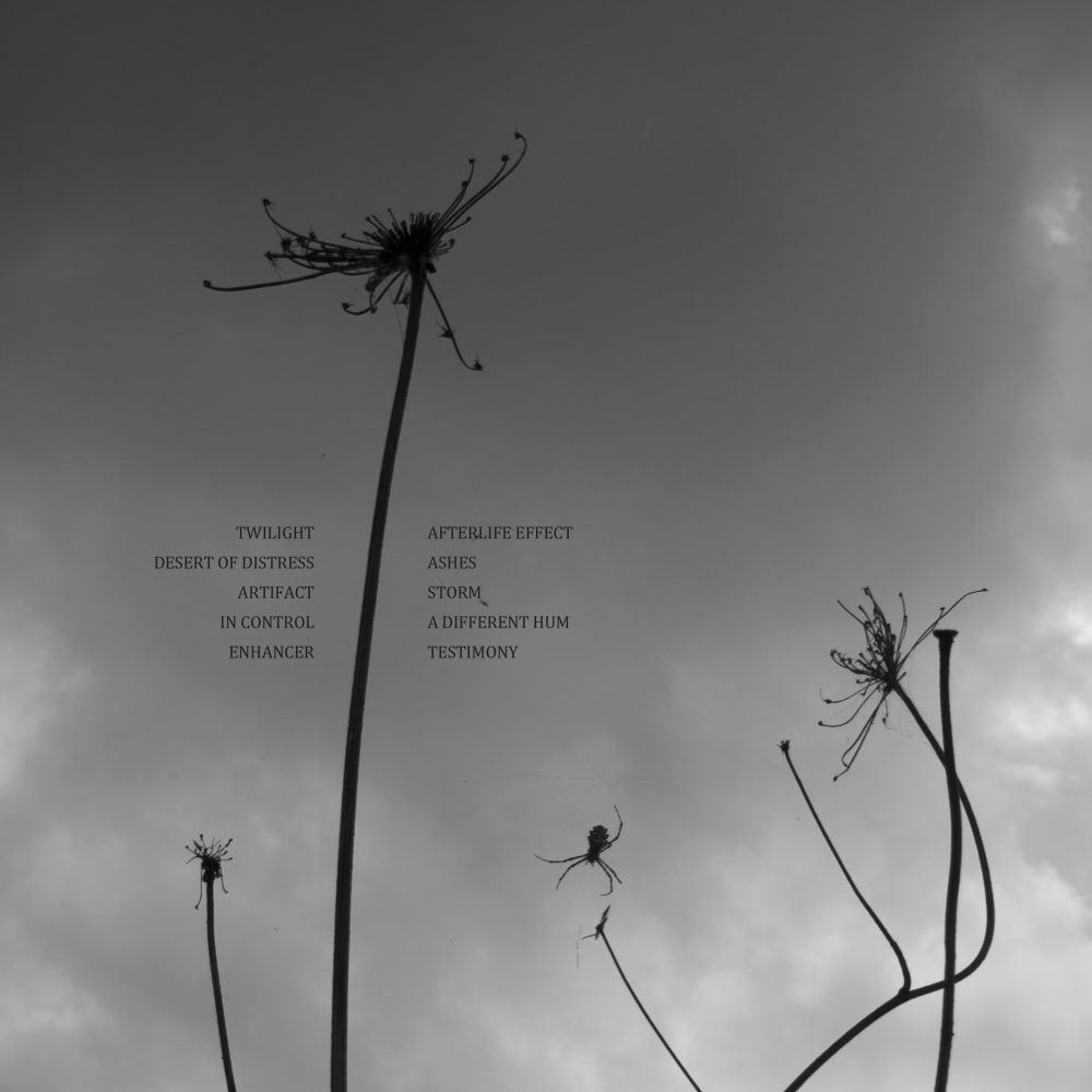 Paradox Obscur "Artifact"