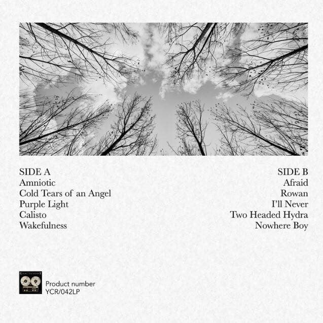 Hoffen "Cold Tears of an Angel"