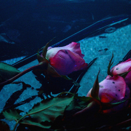 Skeleton Hands "Wake"