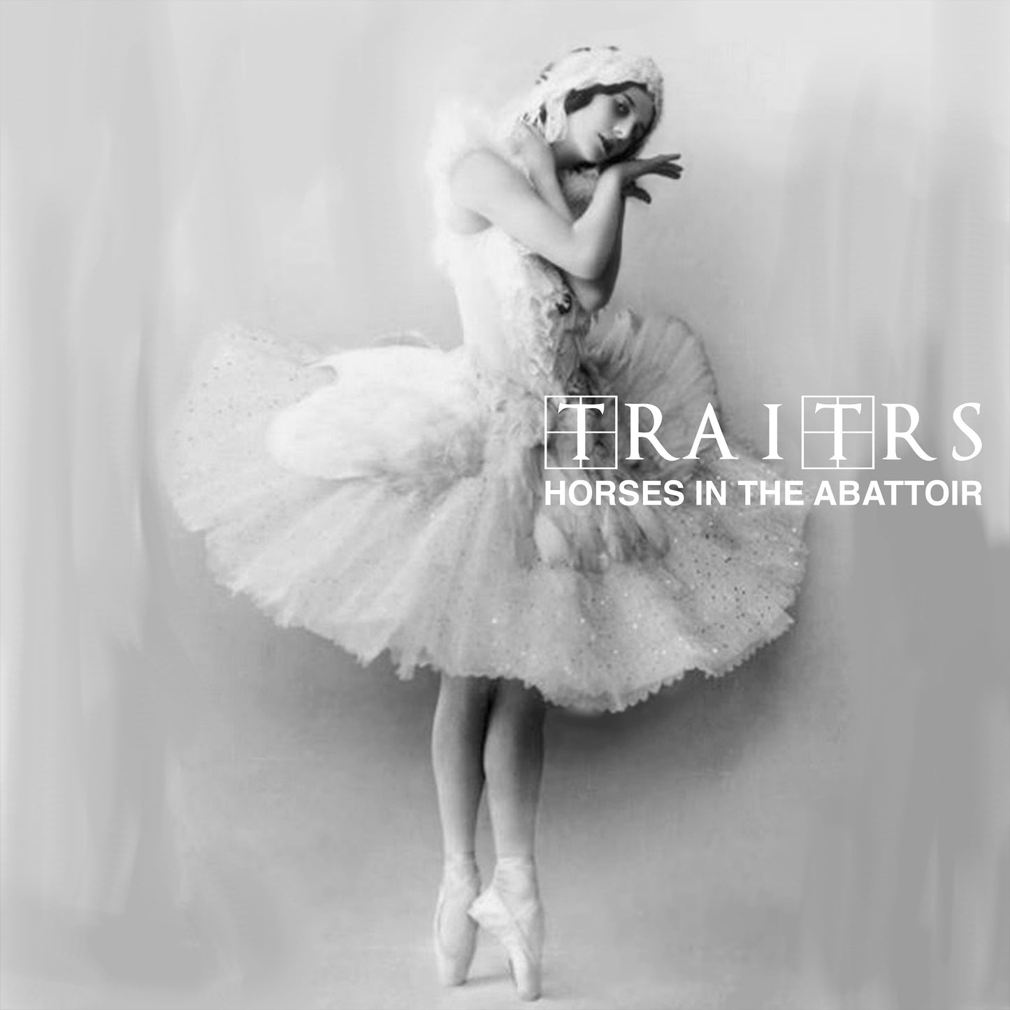 TRAITRS "Horses in the Abbatoir"