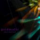 Shad Shadows "Prismatic"