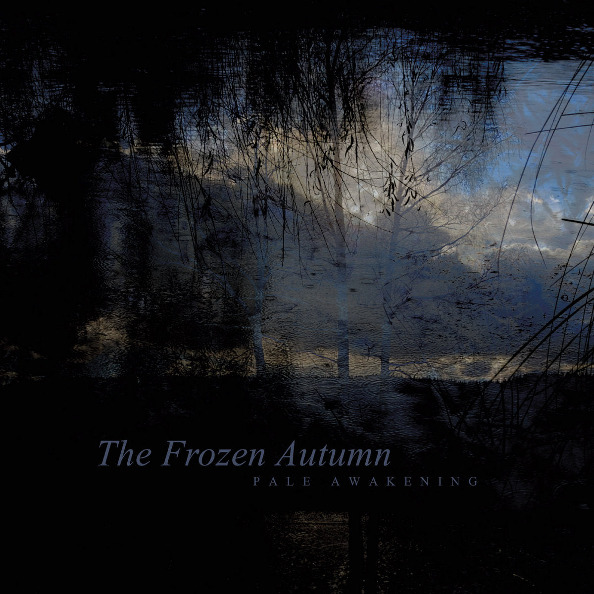 The Frozen Autumn "Pale Awakening"